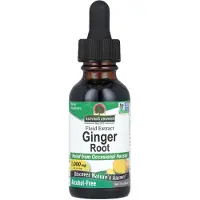 Natures Answer , Ginger Rod, Fluid Extract, Alkoholfri, 1,000 mg, 1 fl oz (30 ml)