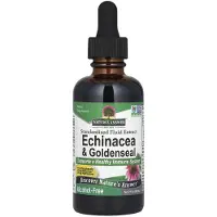 Natures Answer , Echinacea & Goldenseal, Standardiseret Fluid Ekstrakt, Alkoholfri, 2 fl oz (60 ml)