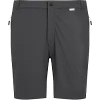 Regatta Mountain Ii Shorts