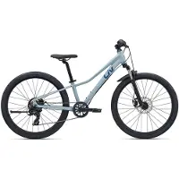 Liv Tempt 24´´ Disc Tourney 2026 Cykel