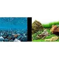 Marina 3d-flod Og Japansk Have Akvariebaggrund
