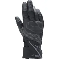 Alpinestars Stella Andes V2 Drystar Kvindernes Handsker