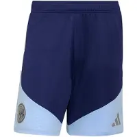 Adidas Ajax Amsterdam 26/27 Tiro26 træningsshorts, størrelse Large