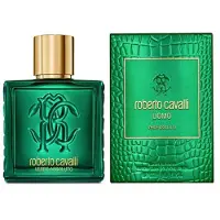 Roberto Cavalli Uomo Verde Assoluto Eau de parfum 100 ml