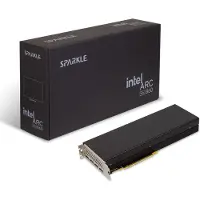Sparkle Technology Intel Arc Pro B60 Passive 24gb Gddr6 Grafikkort
