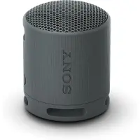 Sony SRS-XB100 - Portable speaker - Black