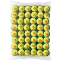 Wilson Starter Tennisbolde 48 Enheder