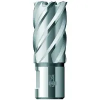 BDS Kernebor HSS 22x30mm