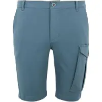 Regatta Bendrick Shorts