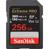 SanDisk SDSDXEP-256G-GN4IN, 256 GB, SDXC, Klasse 10, UHS-II, 280 MB/s, 100 MB/s