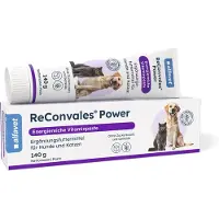 ReConvales Power - 140 g