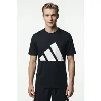 Adidas Essentials Big Logo T-shirt, størrelse Medium
