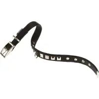 Ferplast Dual 25 Mm 45 Cm Hundehalsbånd