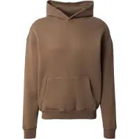 Hollister Sweatshirt brun