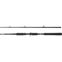 Abu Garcia Beast Pike Baitcastingstang