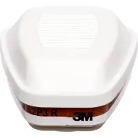 3M Filter gas- og kombifilter 6095 6095 (4 stk.)