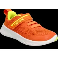 Geox Foot-run Sko