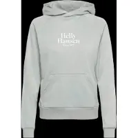 Helly Hansen Core Graphic Hættetrøje