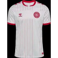Hummel Danmark Udebanetrøje 2026/27 - , størrelse Large