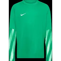 Nike Målmandstrøje Dri-FIT Park V - Grøn/Hvid Børn, størrelse XL: 158-170 cm