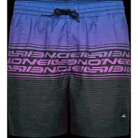 O'Neill Logo Stripe 16´´ Badeshorts