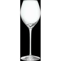 Orrefors More Champagne Boule champagneglas 31 cl 2-pak Klar
