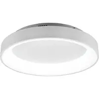 TRIO Loftslampe , LED, 48W, 2700-6000K, 5600 lm, Ø60