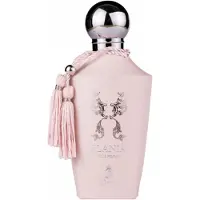 Paris Corner Elania Eau de parfum 100 ml
