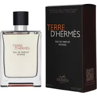 Hermès Paris Hermès Terre D'Hermès Parfum Intense Eau de Parfum Spray 100ml