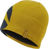 Montane Jango Roundel Beanie
