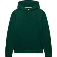 Superdry Sweatshirt 'Essential' grøn
