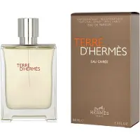 Hermès Paris Terre D’hermès Givrée Eau De Parfum 100ml