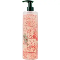 Rene Furterer Tonucia Natural Filler Repulping Shampoo 500ml