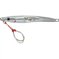 Molix Theos Lead Free Shore Jig 100g 150 Mm