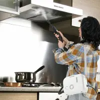 24.Se Damprenser 1500 W - håndholdt højtryksdamp til køkken badeværelse og bil