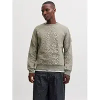 Jack & Jones Sweatshirt 'JJCLEVELAND' siv