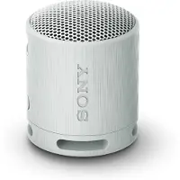 Sony SRS-XB100 - portable speaker - Grey