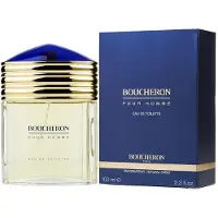 Boucheron Pour Homme 100ml Eau De Toilette