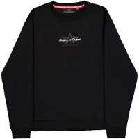 Alpha industries Sweatshirt 'Foam' mørkegrå / sort / hvid