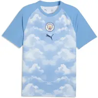 Puma Manchester City Warmup Jersey Men, Sport, Icy Blue/Regal Blue, XS