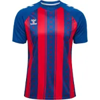Hummel Match Striped T-shirt Med Korte ærmer