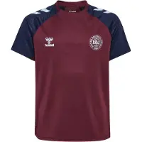 Hummel Danmark Trænings T-Shirt 26 Pro - Bordeaux/Navy Børn - , størrelse 152 cm