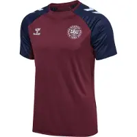Hummel Funktionsskjorte burgunder / sort / hvid