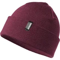 Atomic Alps Rolled Beanie