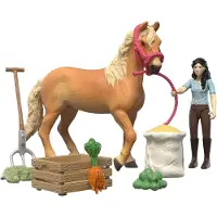 Schleich Horse Club - Emilys Plejesæt - 15 Dele - 42797 - - OneSize - Legetøjsfigur