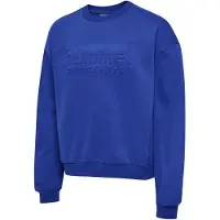 Hummel Sportsweatshirt ensian