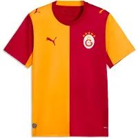 Puma Galatasaray S.K. 26/27 Home Jersey Men, Sport, Dark Cherry/Summer Sunset, XL