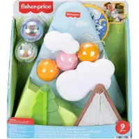 Fisher-Price Forest Friends boldbane – Ball Mountain