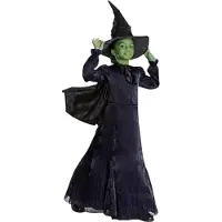 Disguise Udklædning - Wicked - Elphaba - - 5-6 år (110-116) - Udklædning