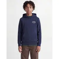 JACK&JONES JUNIOR Logo Hættetrøje Boys